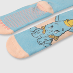C9PE3040V23_2