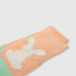 C2PE0830V23_2