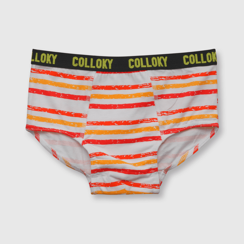 Calzoncillo de niño 3 pack estampado blanco (2 a 12 años)