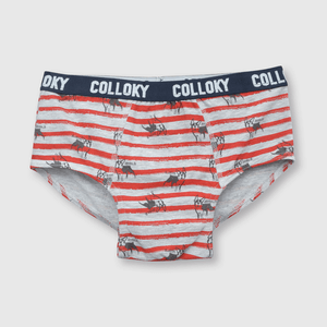 Calzoncillo de niño 3 pack estampado azul (2 a 12 años)