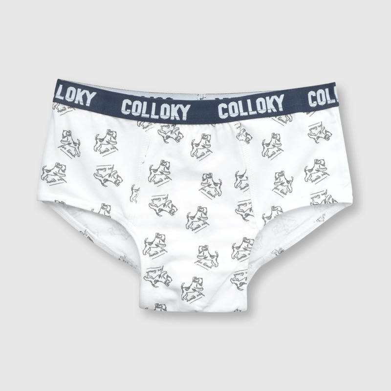 Calzoncillo de niño 3 pack estampado azul (2 a 12 años)
