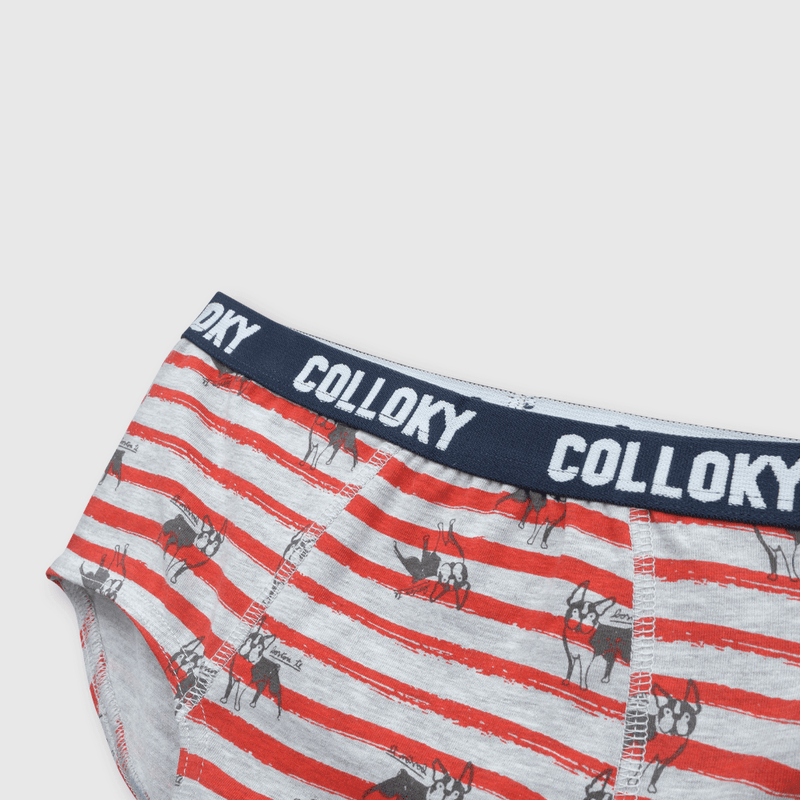 Calzoncillo de niño 3 pack estampado azul (2 a 12 años)