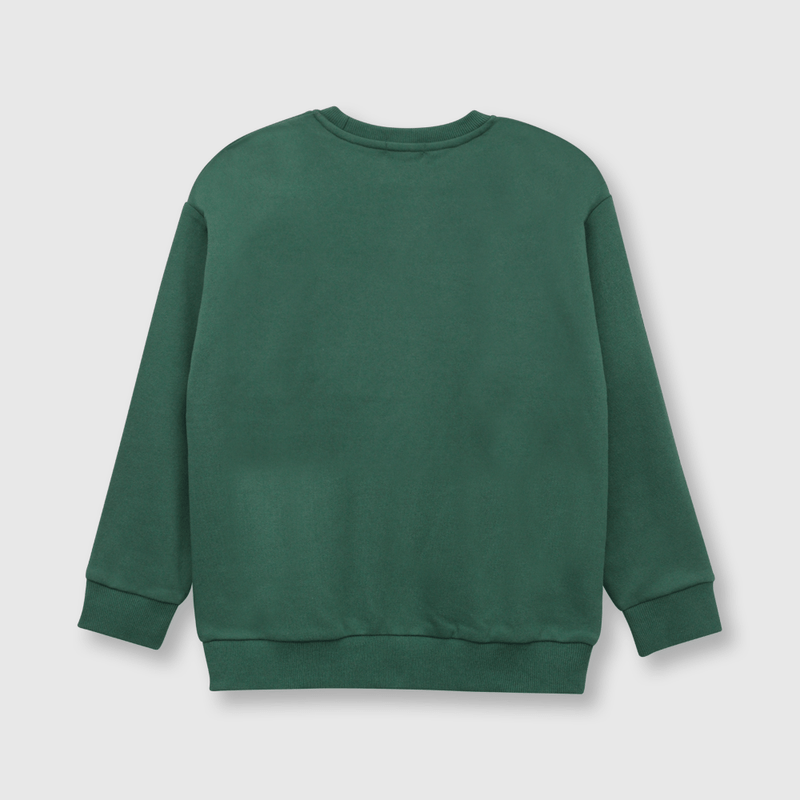 Polerón de niño estampado verde (2 a 12 años)