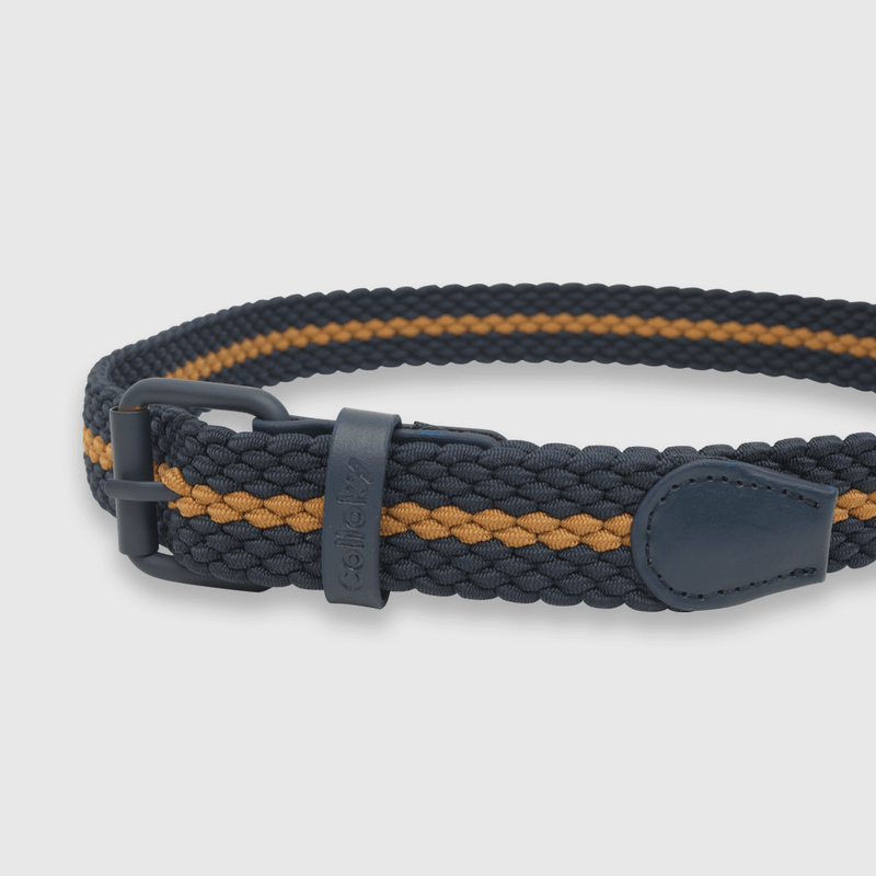 Cinturón de niño elasticado azul / blue (2 a 12 años)