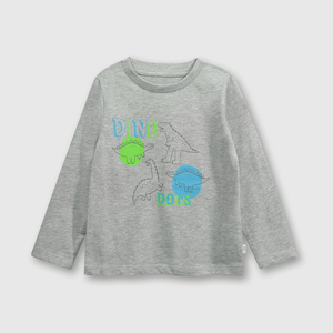 Polera Gris de Niño
