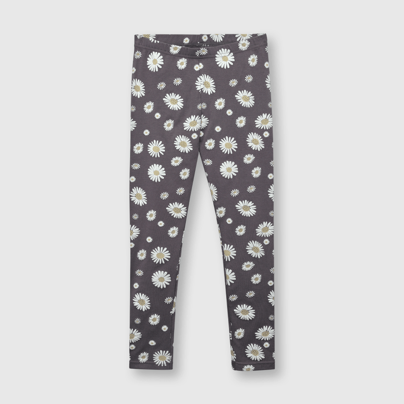 Pata Gris de Niña