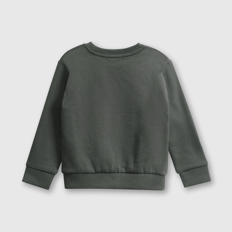 Polerón Gris de Niño