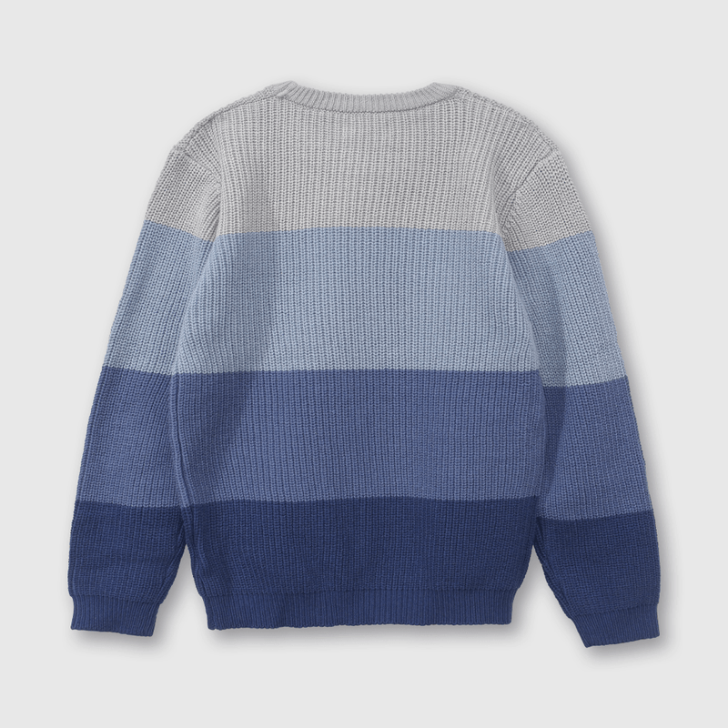 Sweater Azul de Niño