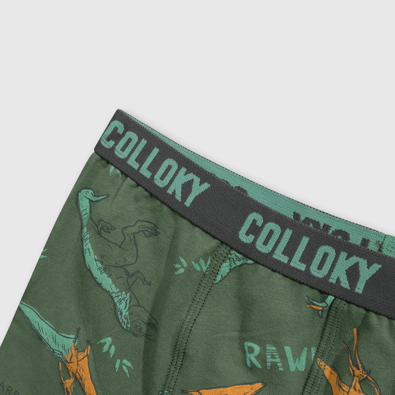 Pack de 3 Boxers Verde
