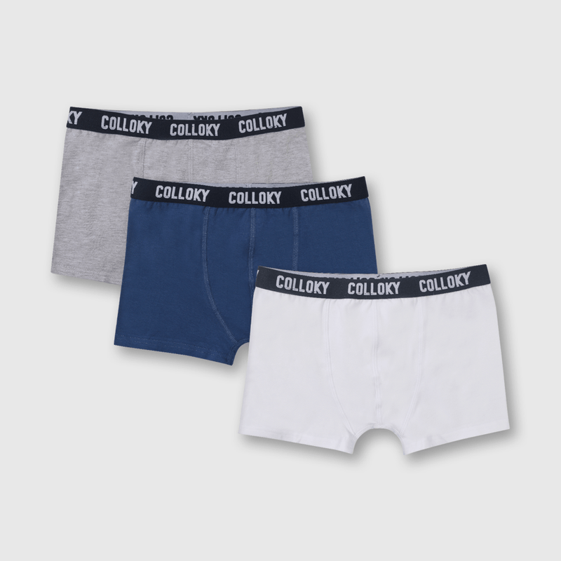 Pack de 3 Boxers Gris