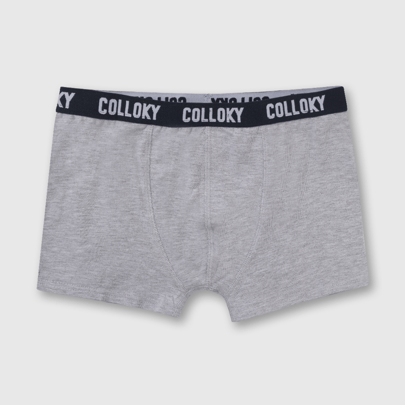 Pack de 3 Boxers Gris