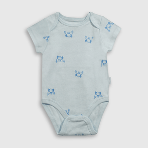 Pack de 5 Bodies Celeste de Bebé