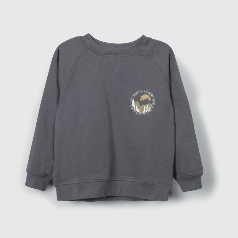 Polerón niño gris, estilo y comodidad para aventuras
