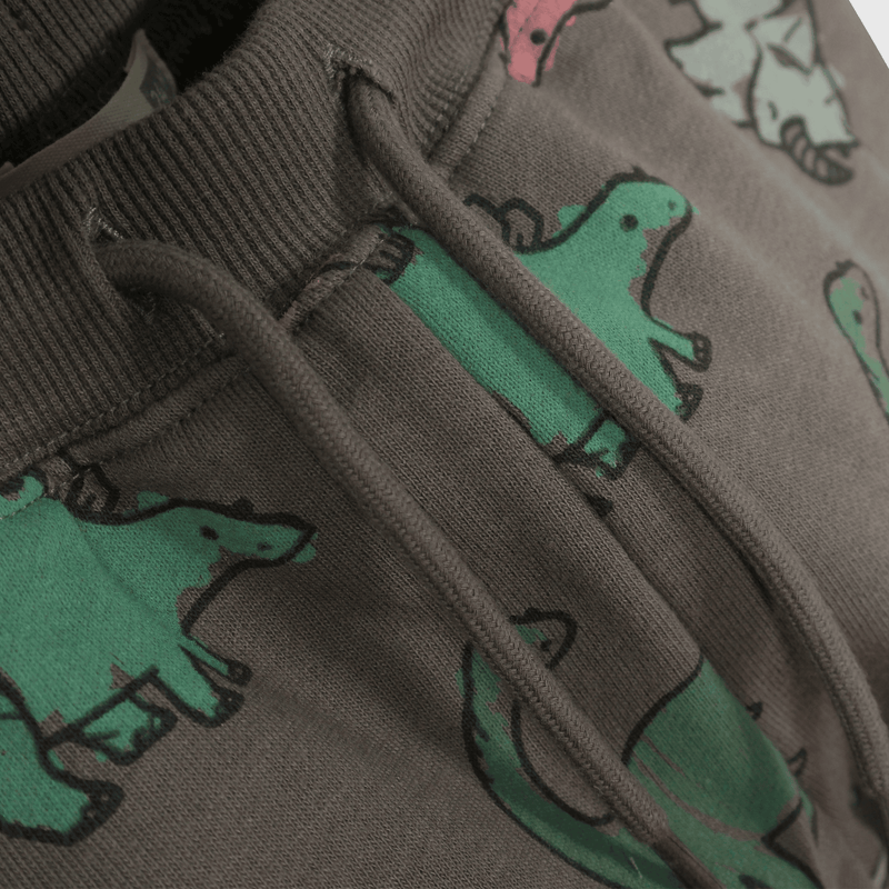 Buzo verde con dinosaurios para niños enérgicos