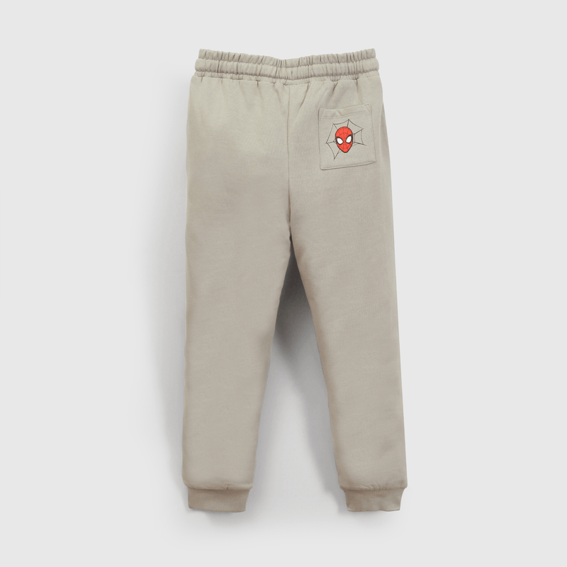 Buzo gris Spiderman para niños, comodidad y estilo