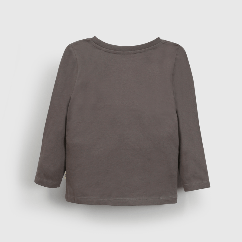 Polera gris con león para niños, cómoda y divertida