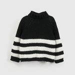 SWPY0401I25_1
