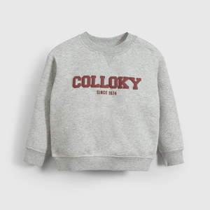 Poleron Gris Colloky De Niño Infantil talla 3/6 M a 24m/36 M