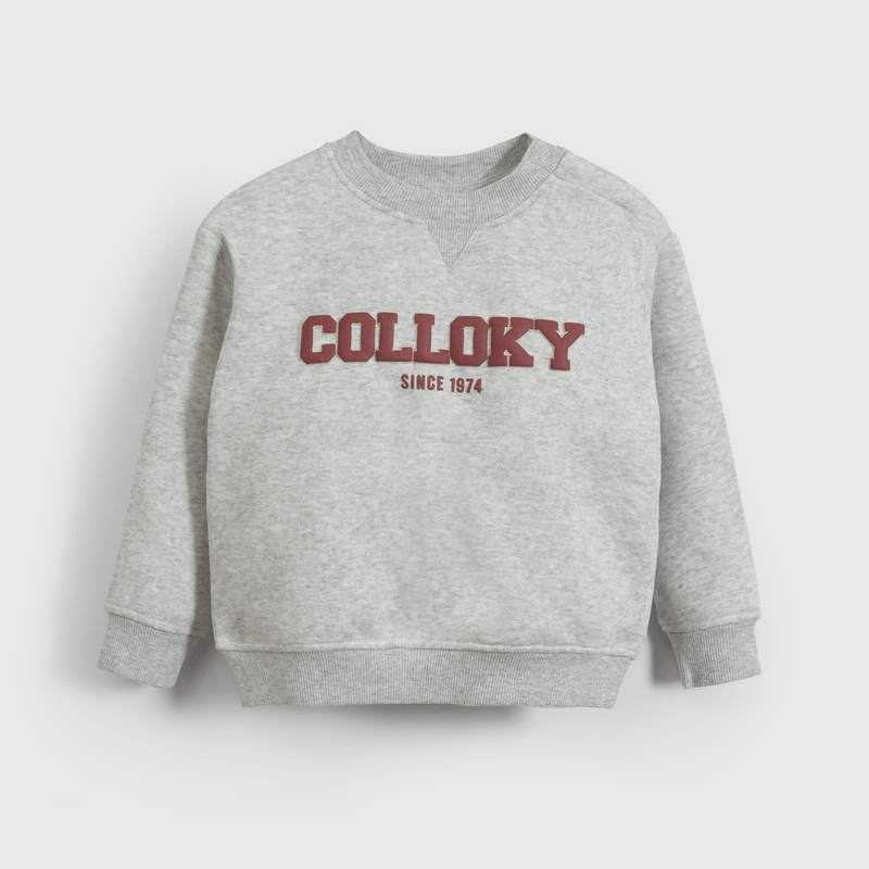Poleron Gris Colloky De Niño Infantil talla 3/6 M a 24m/36 M