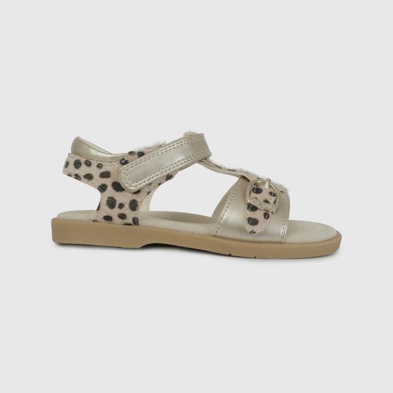 Sandalia de Vestir Dorada con Animal Print  de Caminante talla 21 a 27