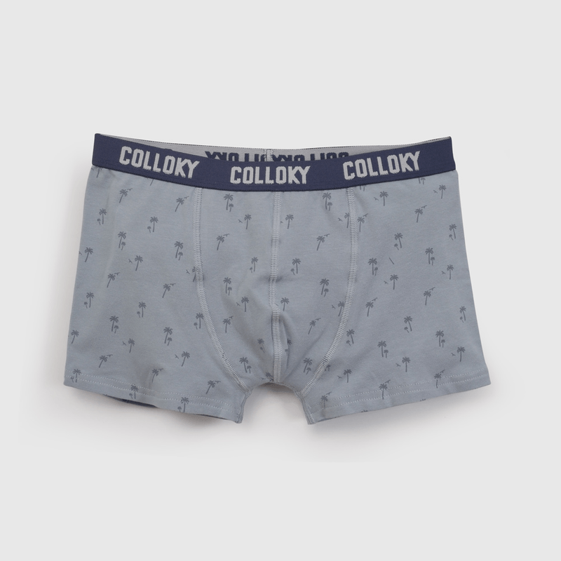 Pack Tres Boxer Palmeras De Niño Celeste talla 2 a 12 añoss