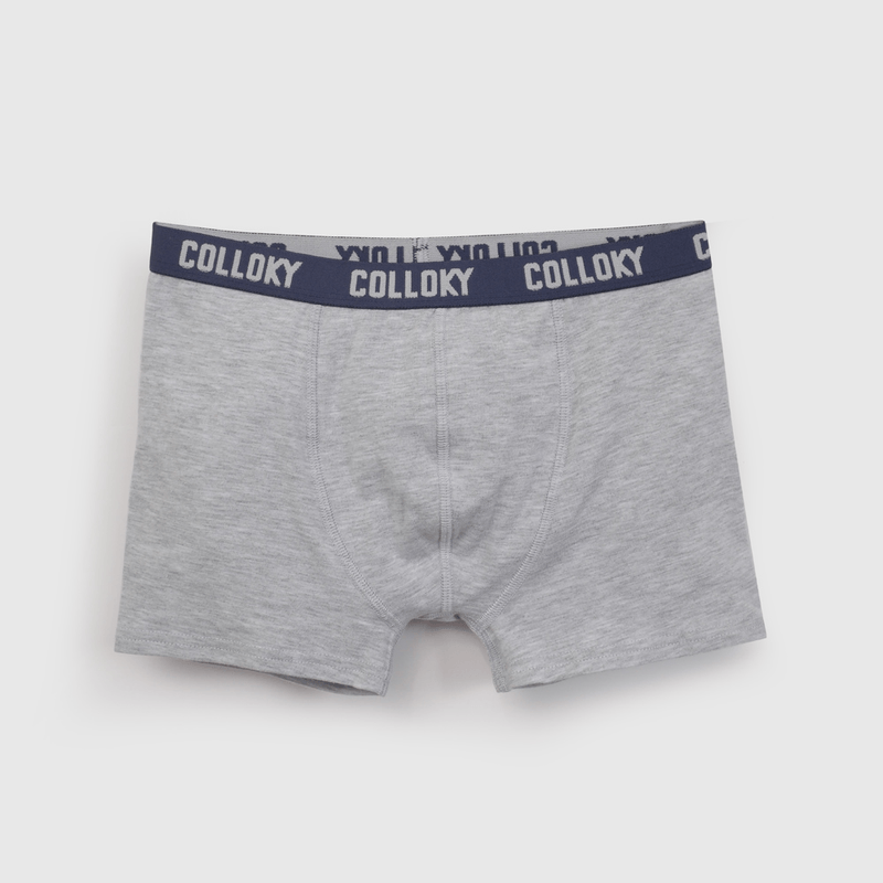 Pack Tres Boxer Palmeras De Niño Celeste talla 2 a 12 añoss