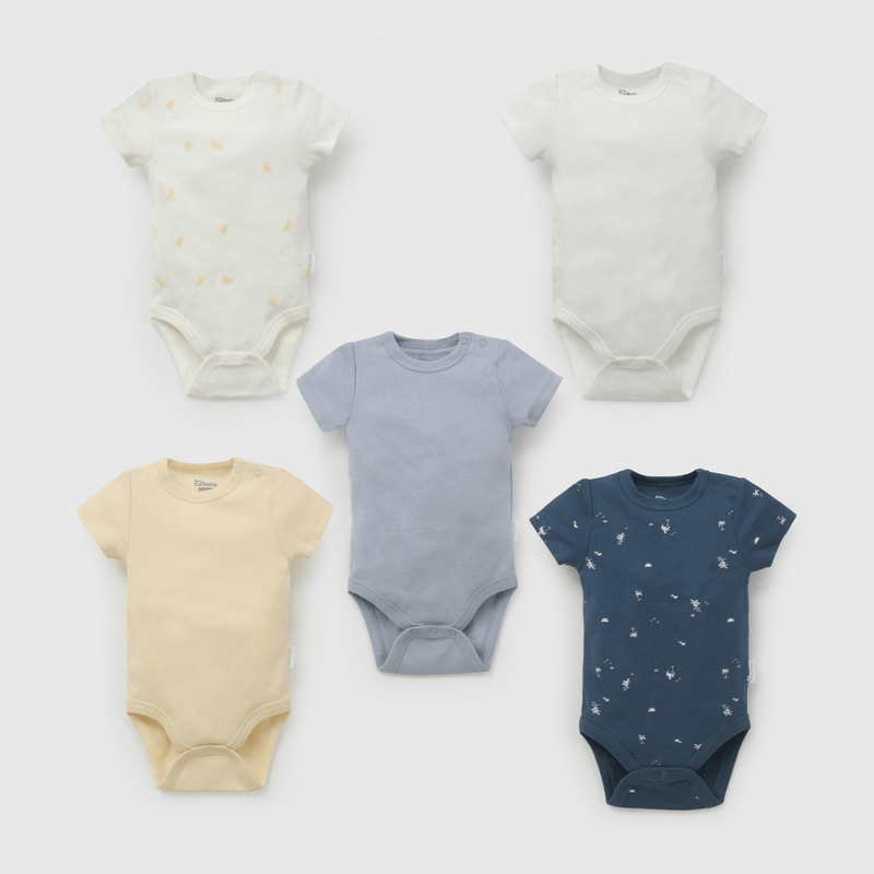Pack Cinco Bodies de Bebé de New born talla 0/3 M a 18/24M