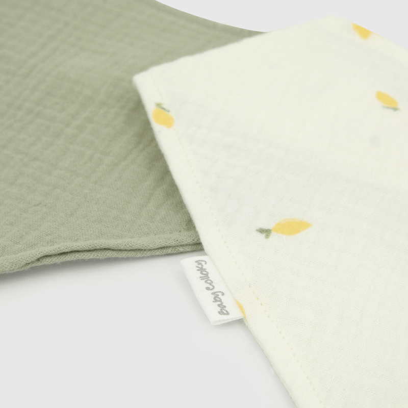 Pack Dos Baberos Impermeable Reversible New born TU