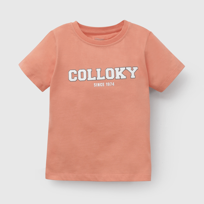 Pack Dos Poleras Multicolor De Niño talla 3/6 M a 24m/36 M
